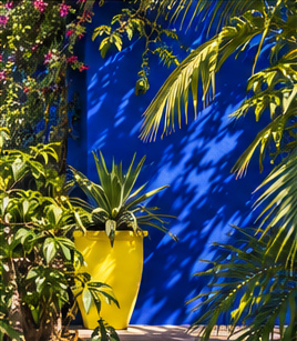 A yellow pot and green foliage against a blue garden wall