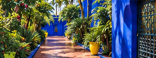 A quiet path through blue architecture and green planting